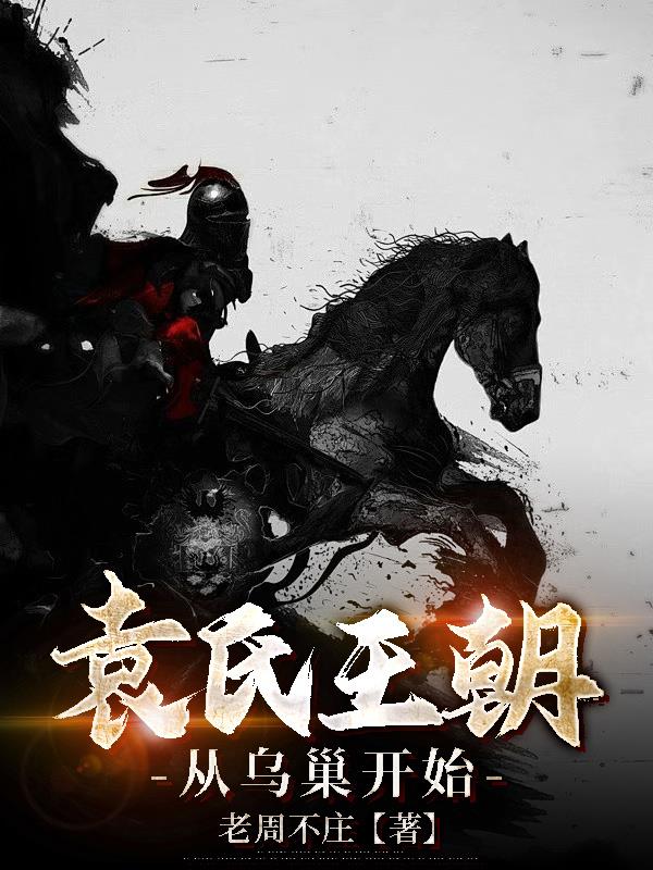 袁氏王朝从乌巢开始