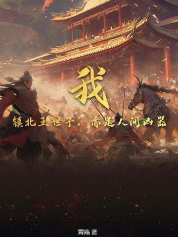 我镇北王世子亦是人间凶器