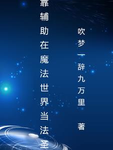 魔法觉醒我第一系是辅助系